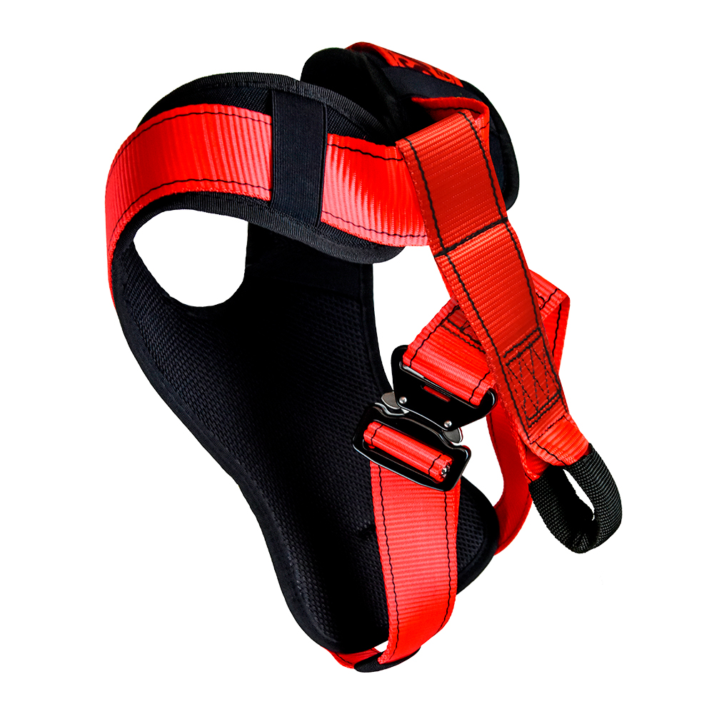 savedog arnes