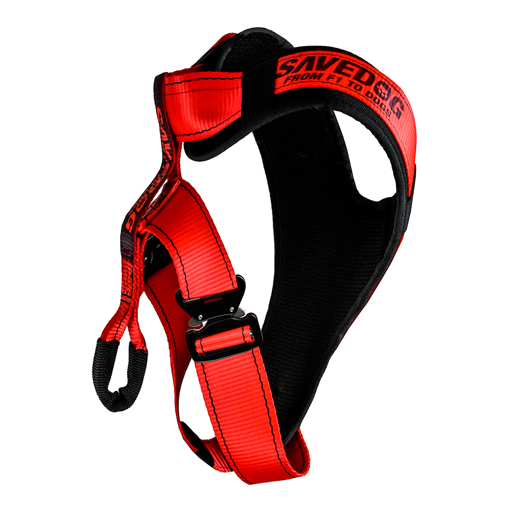 savedog arnes