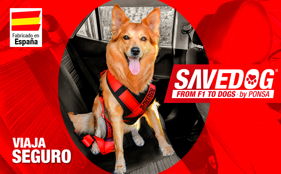 savedog arnes