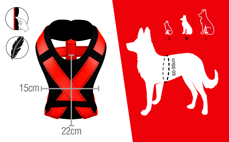 savedog medidas